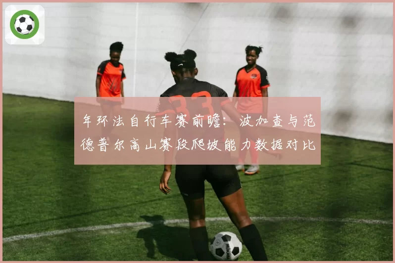 年环法自行车赛前瞻：波加查与范德普尔高山赛段爬坡能力数据对比