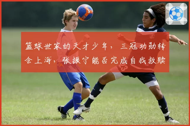篮球世家的天才少年,三冠功勋转会上海,张振宁能否完成自我救赎
