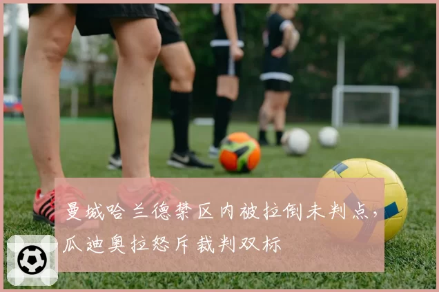 曼城哈兰德禁区内被拉倒未判点,瓜迪奥拉怒斥裁判双标