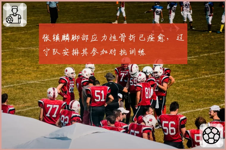 张镇麟脚部应力性骨折已痊愈,辽宁队安排其参加对抗训练