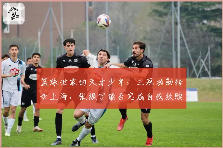 篮球世家的天才少年,三冠功勋转会上海,张振宁能否完成自我救赎
