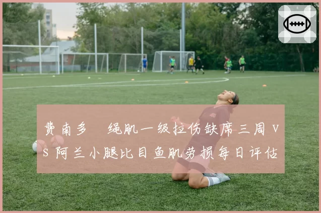 费南多腘绳肌一级拉伤缺席三周 vs 阿兰小腿比目鱼肌劳损每日评估,归化双星伤情牵动国足18强赛布局