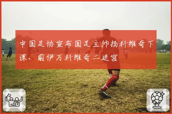 中国足协宣布国足主帅扬科维奇下课,前伊万科维奇二进宫