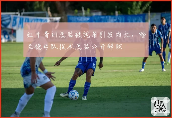 红牛青训总监被挖角引发内讧,哈兰德母队技术总监公开辞职